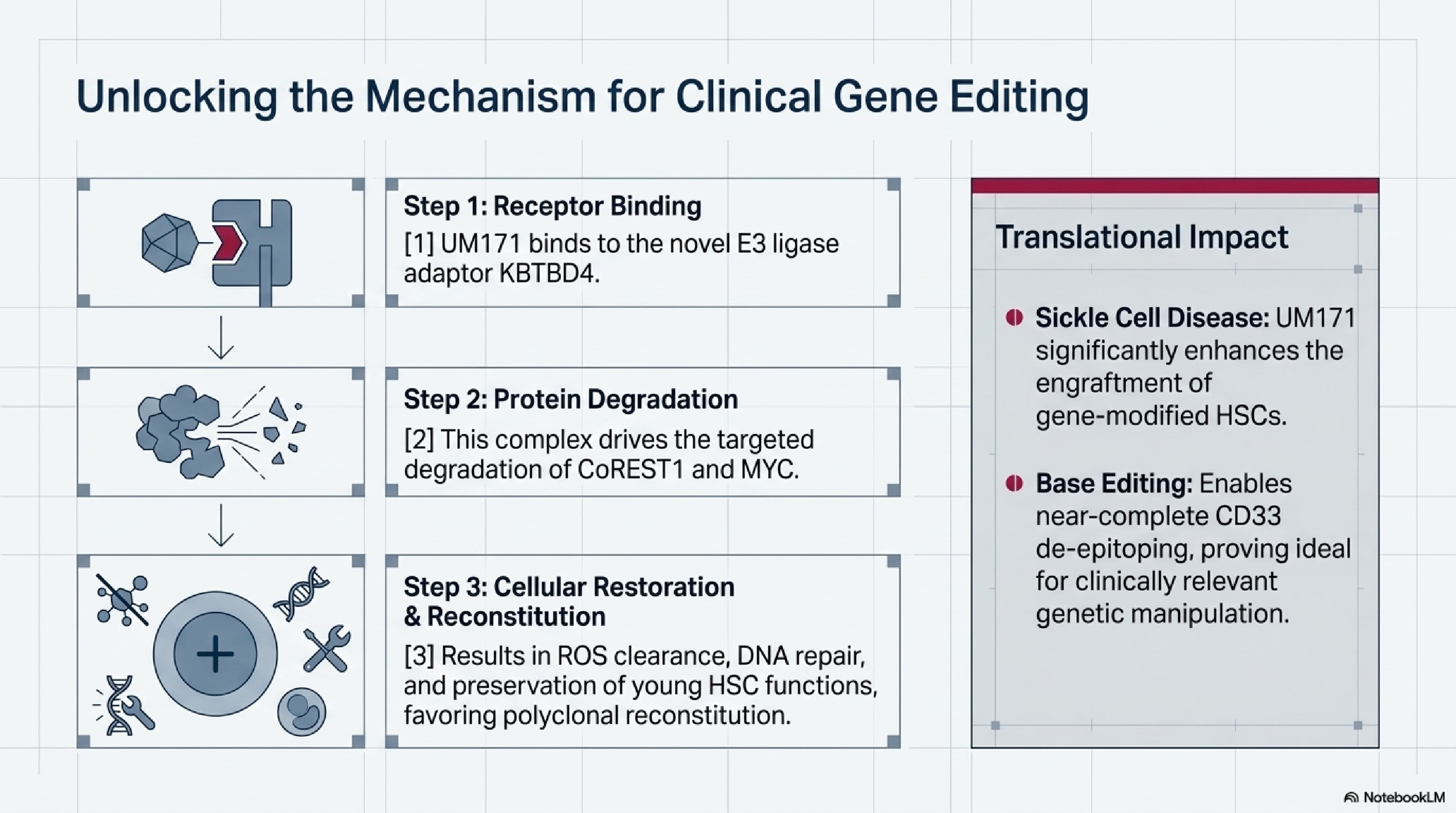 Unlocking the mechanism for clinical gene editing